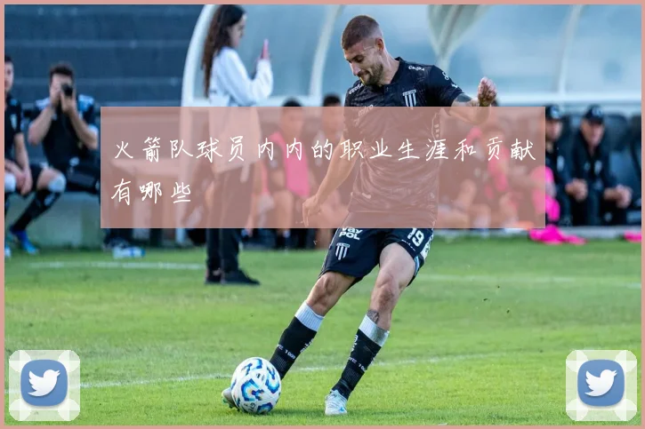 火箭队球员内内的职业生涯和贡献有哪些